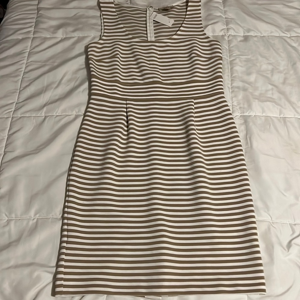 Loft Striped white and tan Dress size 6